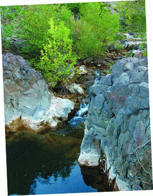 http://oloommagazine.com/images/Articles/2007/5-6/74.gif