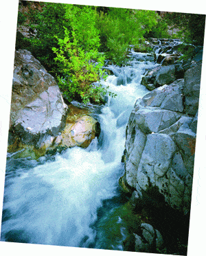 http://oloommagazine.com/images/Articles/2007/5-6/73.gif