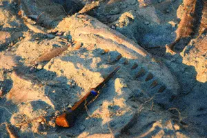 http://oloommagazine.com/images/Articles/2007/5-6/63.gif