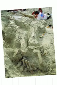 http://oloommagazine.com/images/Articles/2007/5-6/53.gif