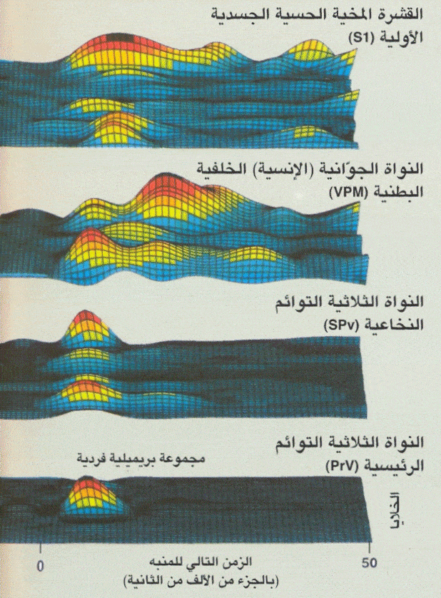 http://oloommagazine.com/images/Articles/2007/7-8/scan0005%5b2%5d.gif