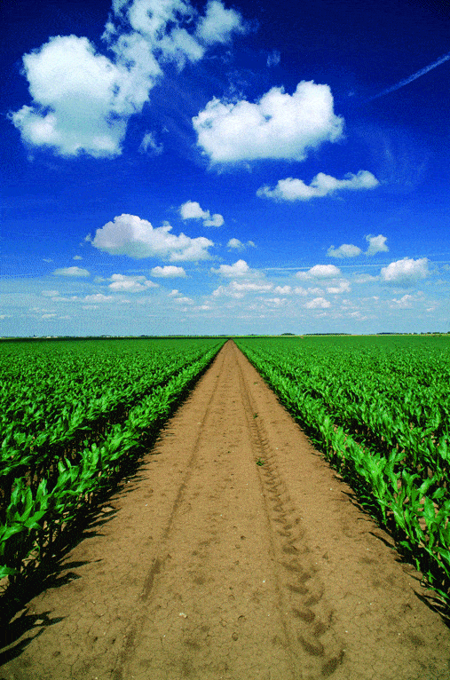 http://oloommagazine.com/images/Articles/2008/1-2/85.gif