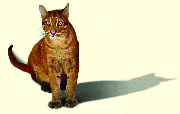 http://oloommagazine.com/images/Articles/2008/1-2/121.gif
