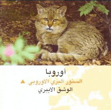 http://oloommagazine.com/images/Articles/2008/1-2/scan0056%20%5b3%5d.gif