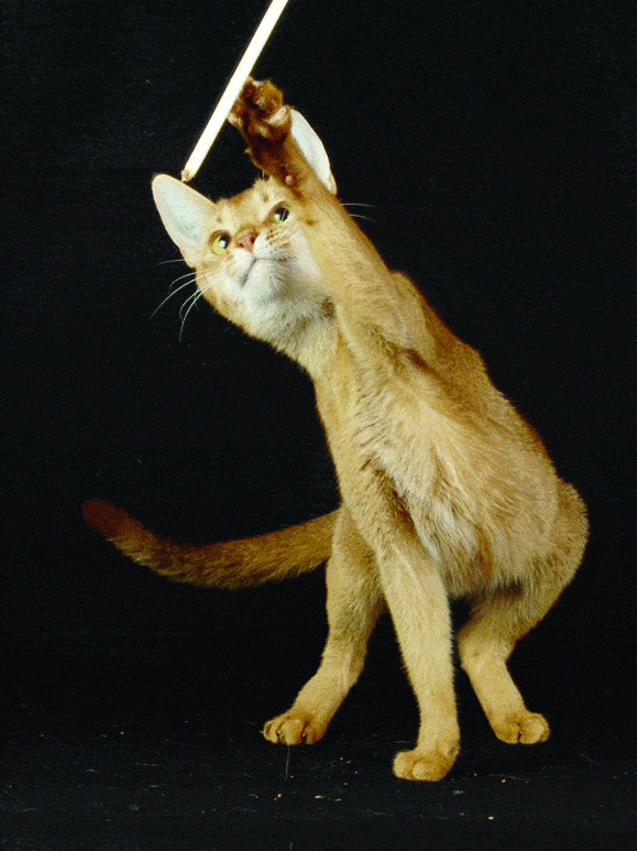 http://oloommagazine.com/images/Articles/2008/1-2/105.gif
