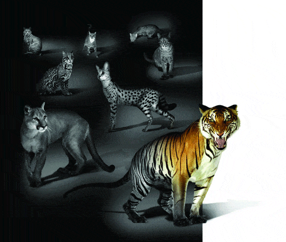 http://oloommagazine.com/images/Articles/2008/1-2/123.gif