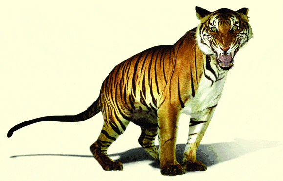http://oloommagazine.com/images/Articles/2008/1-2/122.gif
