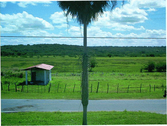 http://oloommagazine.com/images/Articles/2008/10-11/13.gif