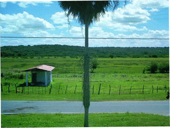 http://oloommagazine.com/images/Articles/2008/10-11/13.gif