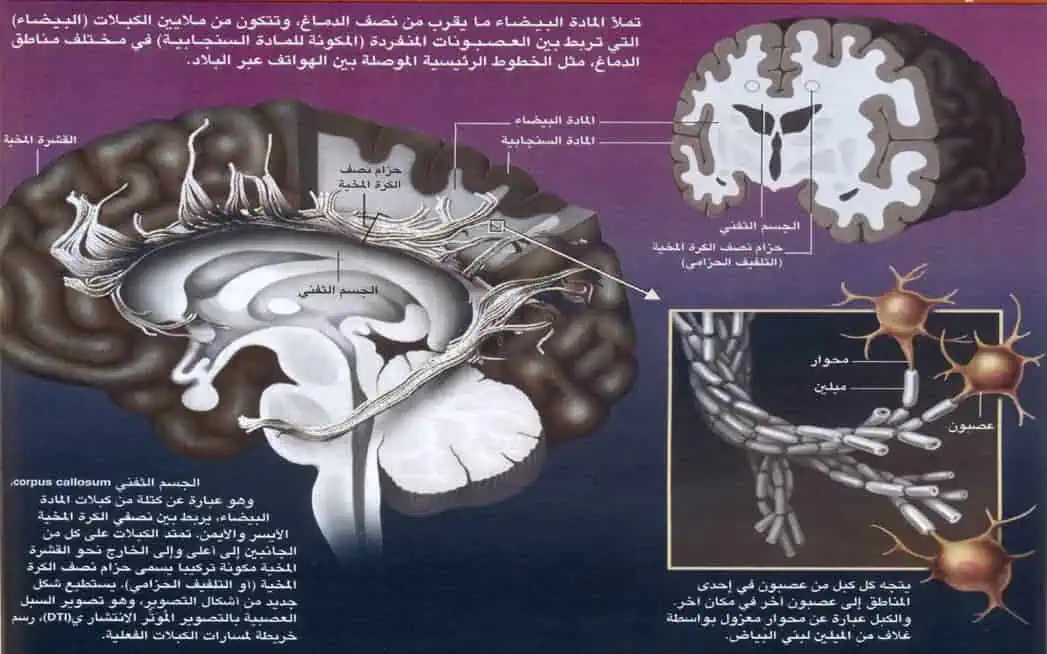 http://oloommagazine.com/images/Articles/2008/12/000017.jpg