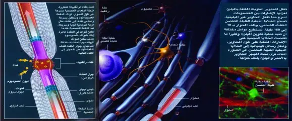 http://oloommagazine.com/images/Articles/2008/12/000020.jpg