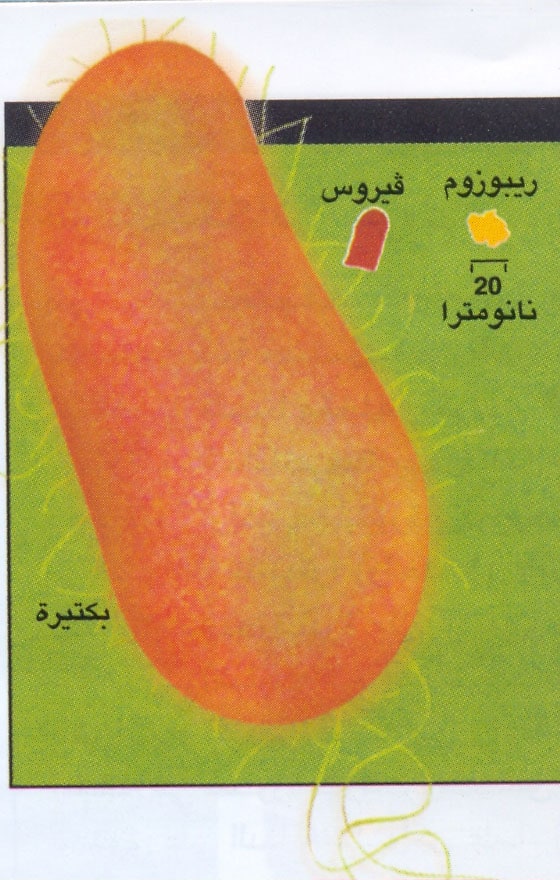 http://oloommagazine.com/images/Articles/2008/12/003.jpg