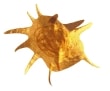 http://oloommagazine.com/images/Articles/2008/12/00010-.jpg