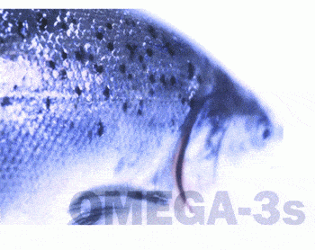 http://oloommagazine.com/images/Articles/2008/3-4/07.gif