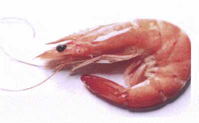 http://oloommagazine.com/images/Articles/2008/3-4/05.gif