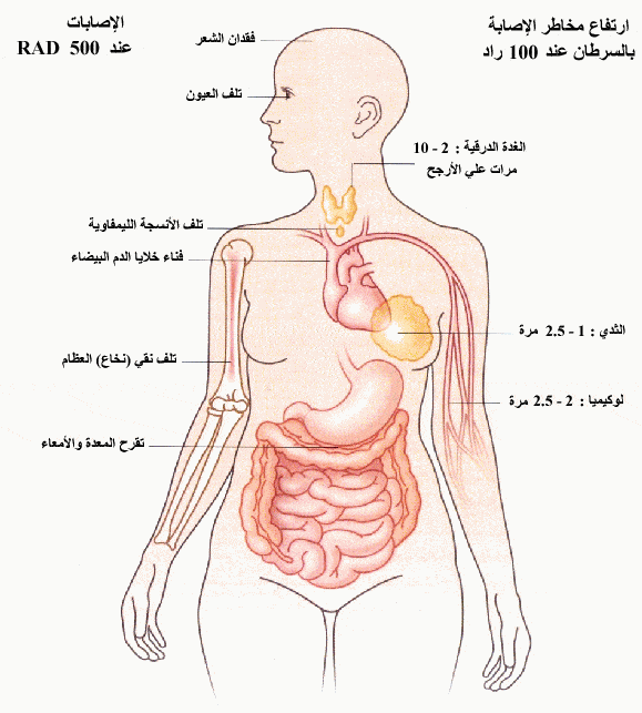 http://oloommagazine.com/Images/Articles/2008/3-4/0004.gif-4.gif