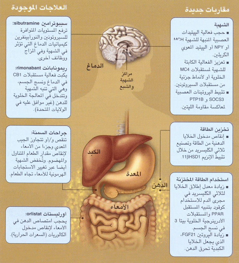 http://oloommagazine.com/images/Articles/2008/5/0011.gif