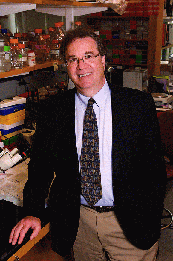 http://oloommagazine.com/Images/Articles/2008/5/39.gif