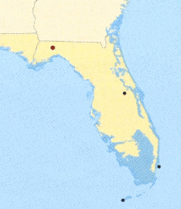 http://oloommagazine.com/images/Articles/2008/6&7/009.gif