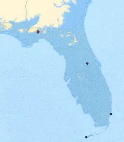 http://oloommagazine.com/images/Articles/2008/6&7/010.gif