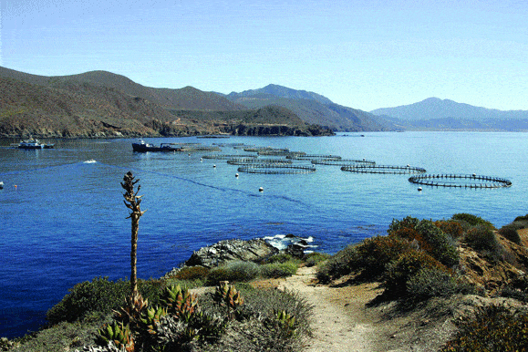 http://oloommagazine.com/images/Articles/2008/8&9/86.gif
