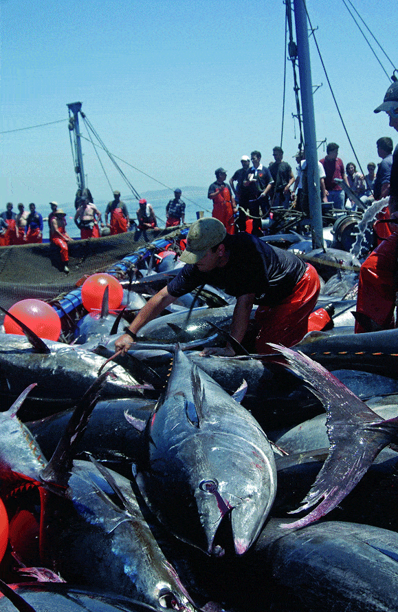 http://oloommagazine.com/images/Articles/2008/8&9/90.gif
