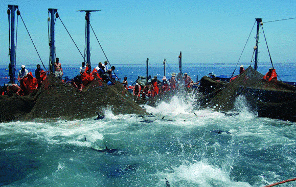 http://oloommagazine.com/images/Articles/2008/8&9/91.gif