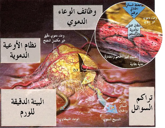 http://oloommagazine.com/images/Articles/2008/8&9/051%5b1%5d.gif