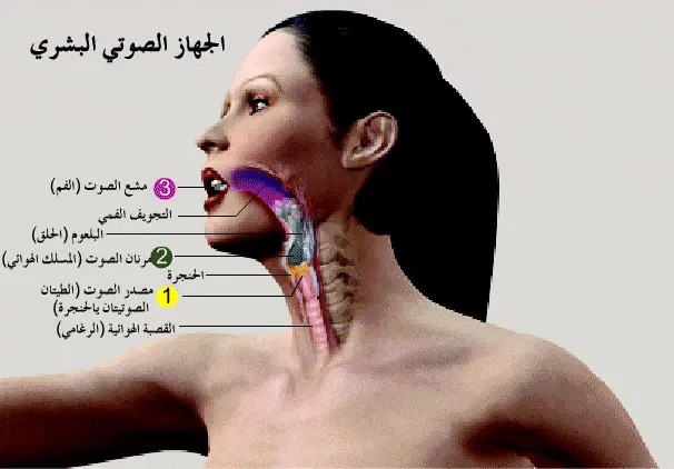 http://oloommagazine.com/images/Articles/2008/8&9/Untitled-1.gif