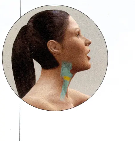 http://oloommagazine.com/images/Articles/2008/8&9/049%5b1%5d.gif