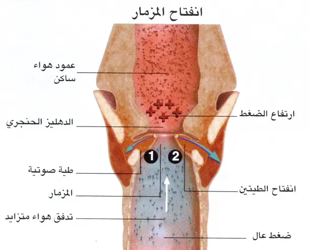 http://oloommagazine.com/images/Articles/2008/8&9/049%5b2%5d.gif