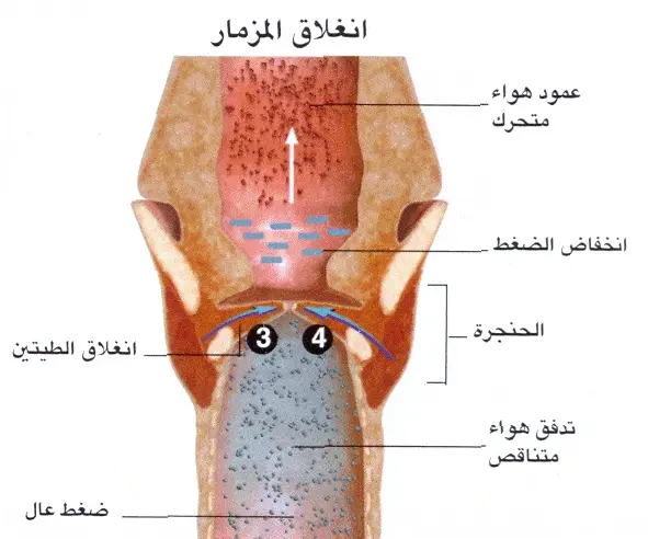 http://oloommagazine.com/images/Articles/2008/8&9/049%5b3%5d.gif