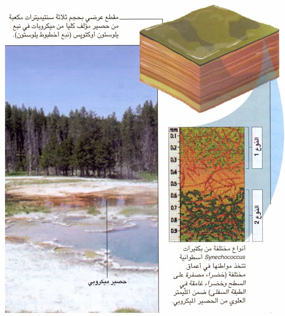 http://oloommagazine.com/images/Articles/2009/1-2/scan00023.jpg