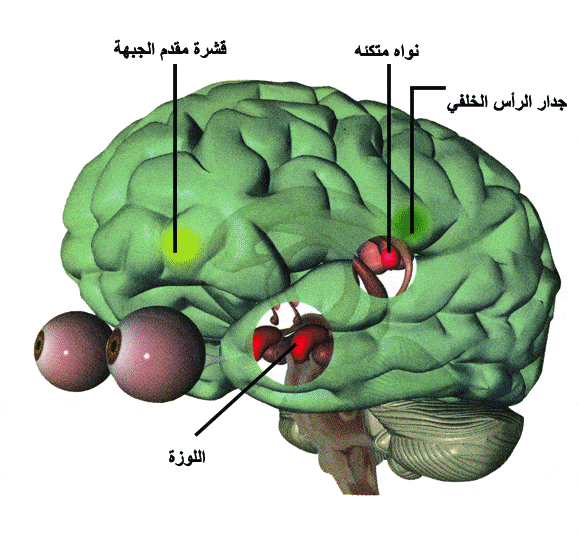 http://oloommagazine.com/Images/Articles/2009/11-12/29.gif