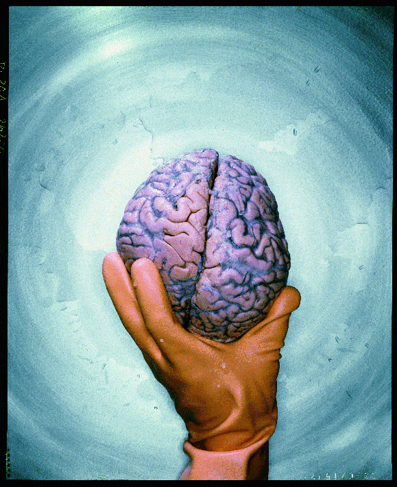 http://oloommagazine.com/Images/Articles/2009/11-12/1000.gif
