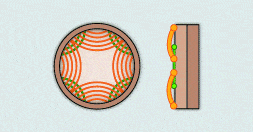 http://oloommagazine.com/Images/Articles/2009/11-12/34-1.gif