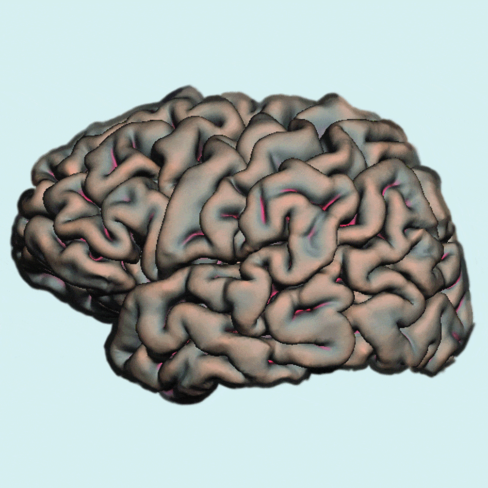 http://oloommagazine.com/Images/Articles/2009/11-12/sa0209Hilg04.gif