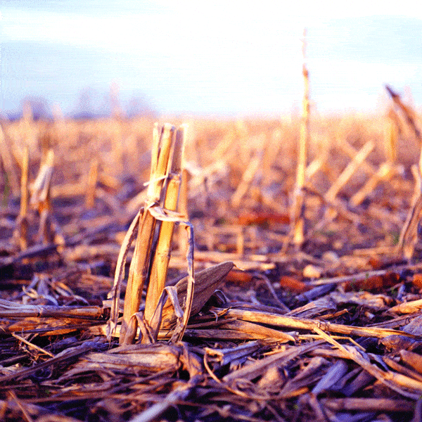 http://oloommagazine.com/Images/Articles/2009/11-12/SA0709Dale9b.gif