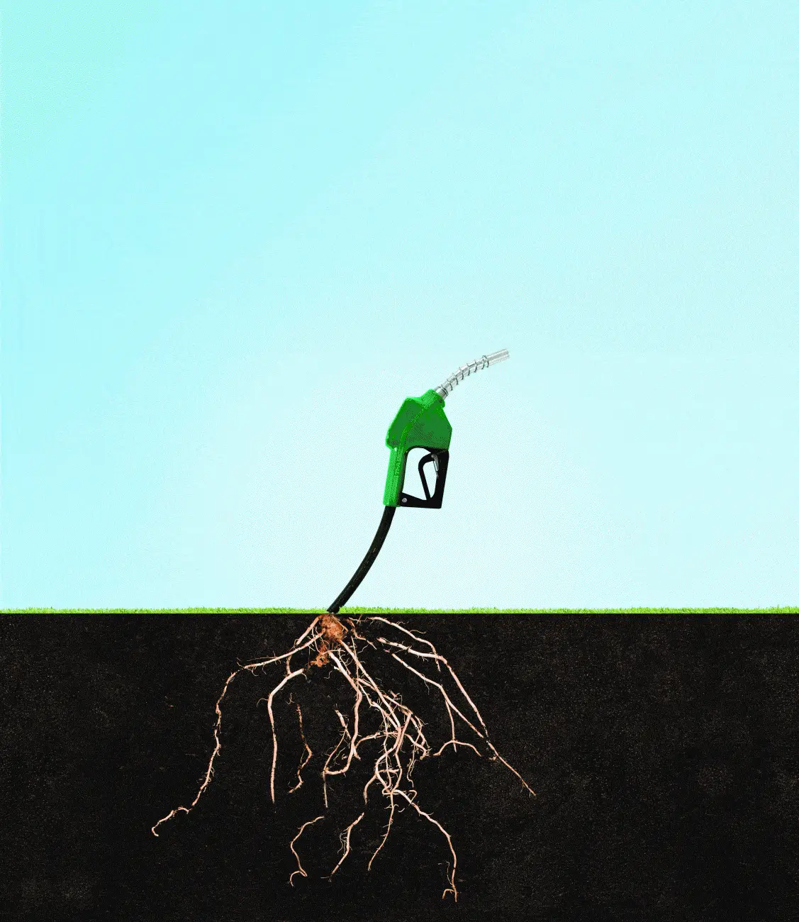 http://oloommagazine.com/Images/Articles/2009/11-12/SA0709Dale01.gif