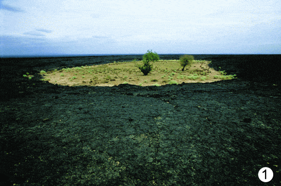 http://oloommagazine.com/images/Articles/2009/3&4/96.gif