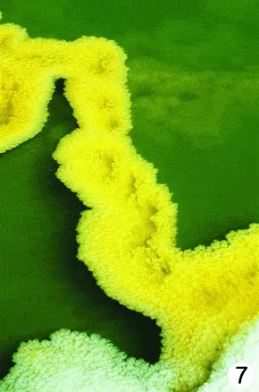 http://oloommagazine.com/images/Articles/2009/3&4/89.gif