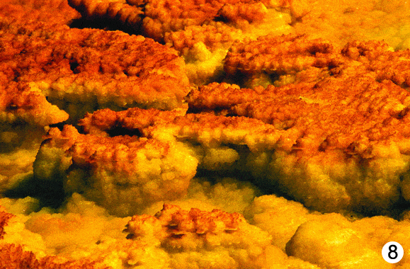 http://oloommagazine.com/images/Articles/2009/3&4/90.gif