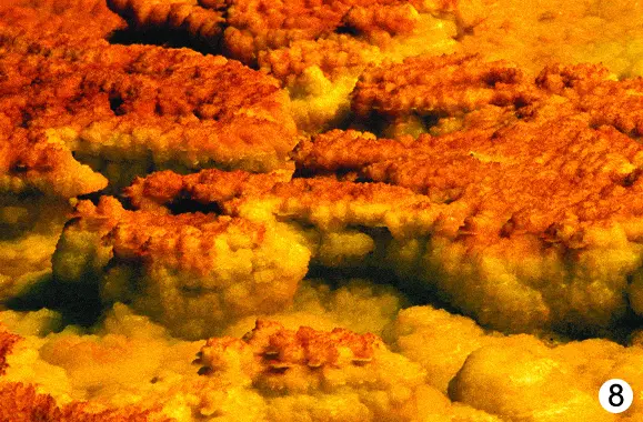 http://oloommagazine.com/images/Articles/2009/3&4/90.gif