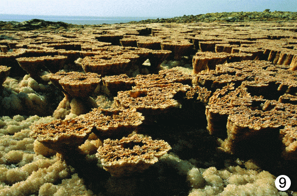 http://oloommagazine.com/images/Articles/2009/3&4/88.gif