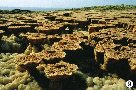 http://oloommagazine.com/images/Articles/2009/3&4/88.gif