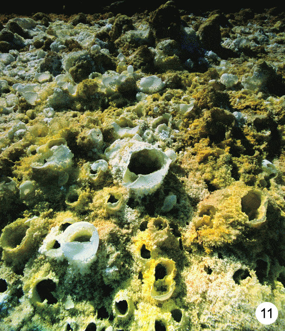 http://oloommagazine.com/images/Articles/2009/3&4/86.gif