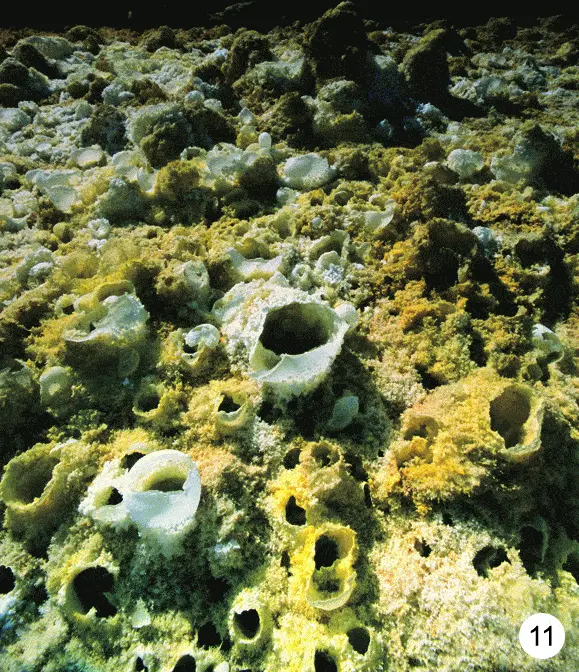 http://oloommagazine.com/images/Articles/2009/3&4/86.gif