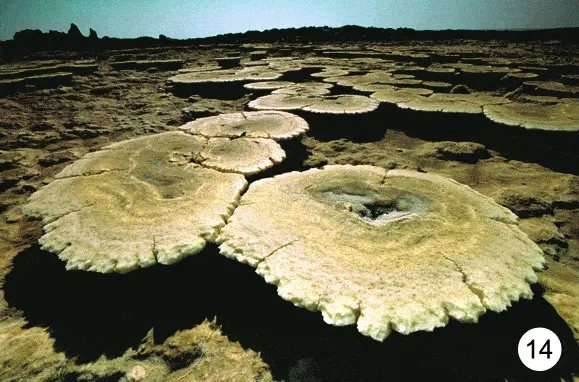 http://oloommagazine.com/images/Articles/2009/3&4/83.gif