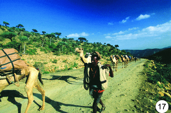 http://oloommagazine.com/images/Articles/2009/3&4/80.gif
