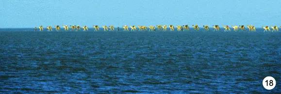 http://oloommagazine.com/images/Articles/2009/3&4/79.gif